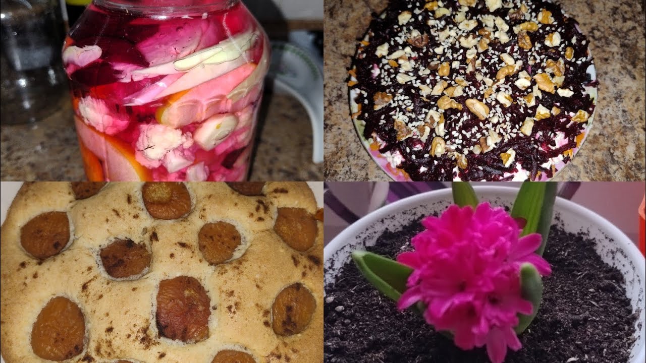 Улюблений пиріг🫶, вперше ферменту овочі, салатик з бурячком😋