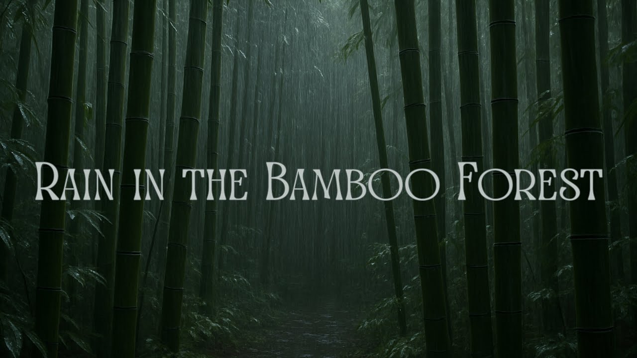 Rain in the Bamboo Forest - Soothing Nature Sounds for Sleep & Calm