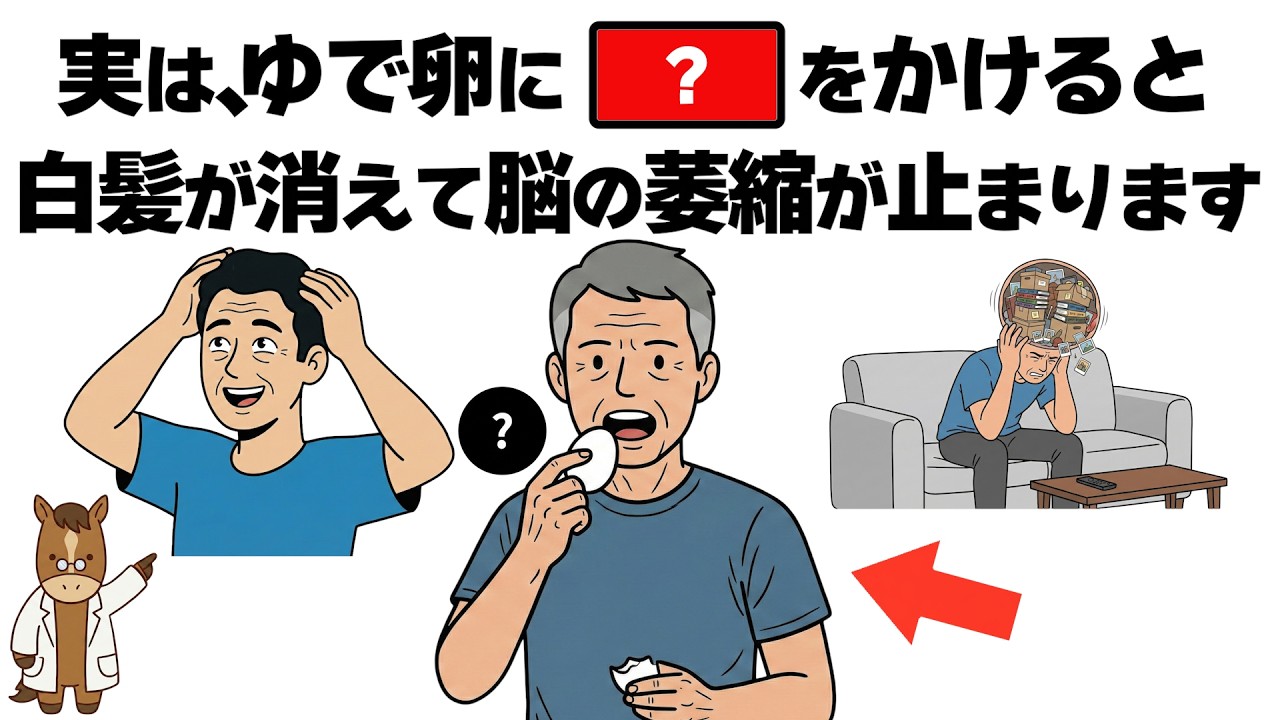 ゆで卵を食べる人は10年後の脳が違う！？40代からの物忘れと白髪を防ぐ最強習慣【誰かに話したくなる健康と人の役立つ雑学】
