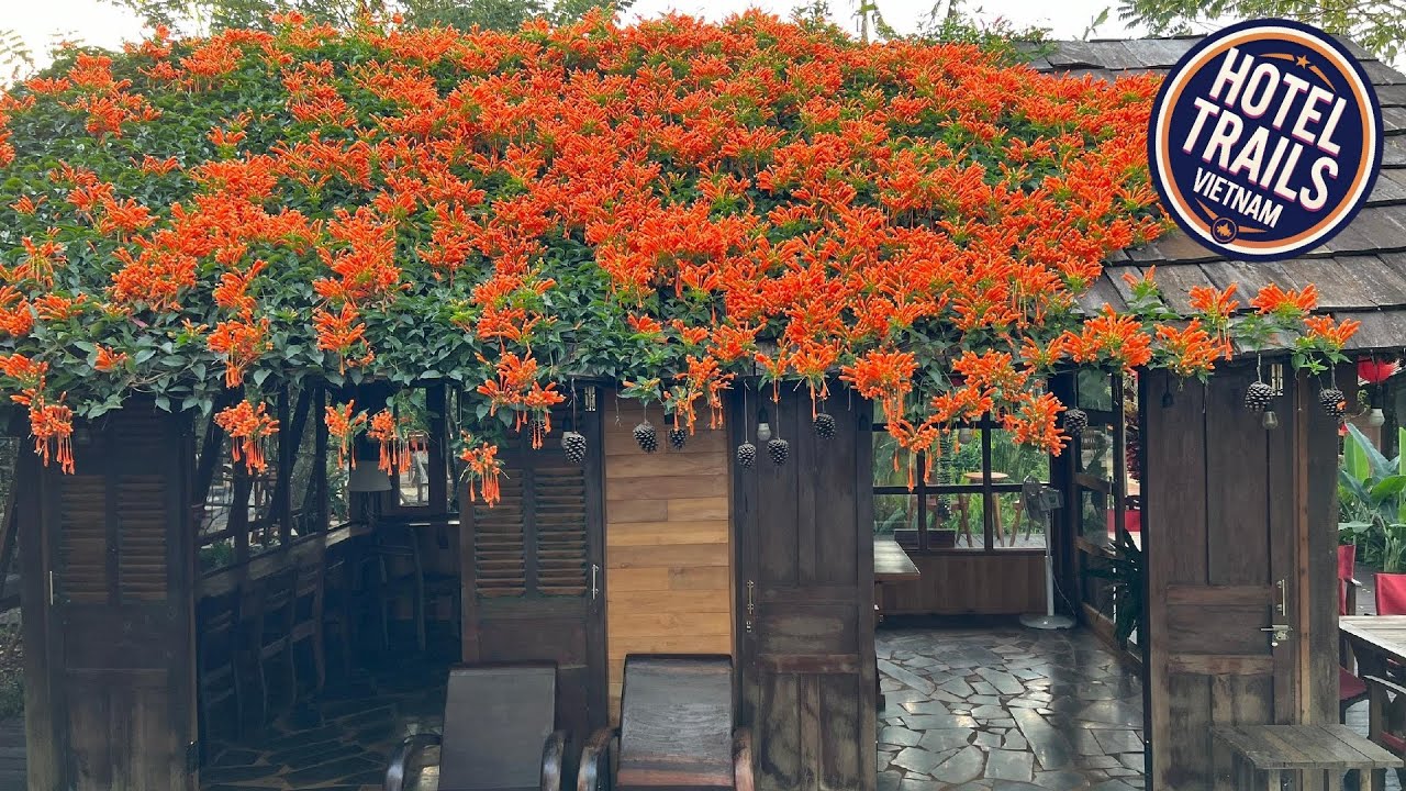 Mộc An Nhiên Farmstay | Pleiku (Gia Lai), Vietnam | Hotel Review 🌟