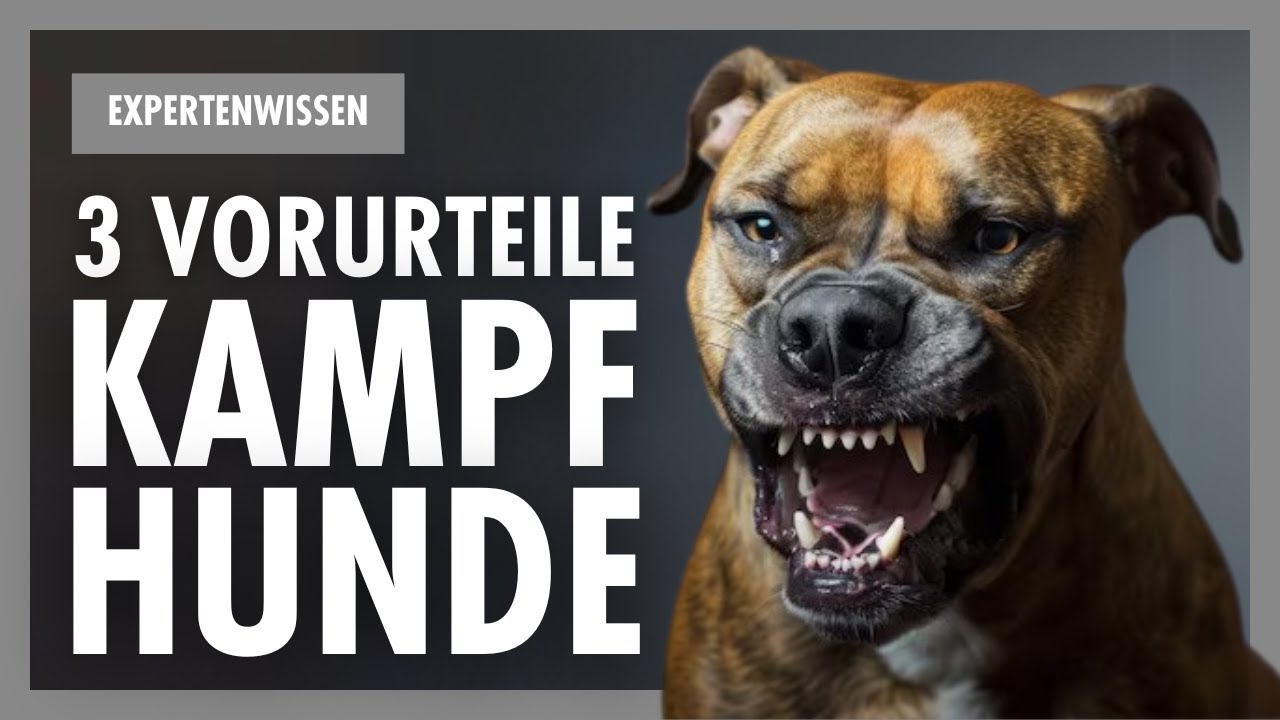 Die Schockierende Wahrheit &Uuml;ber Kampfhunde &ndash; Mythen, Fakten & Was Wirklich Dahinter Steckt
