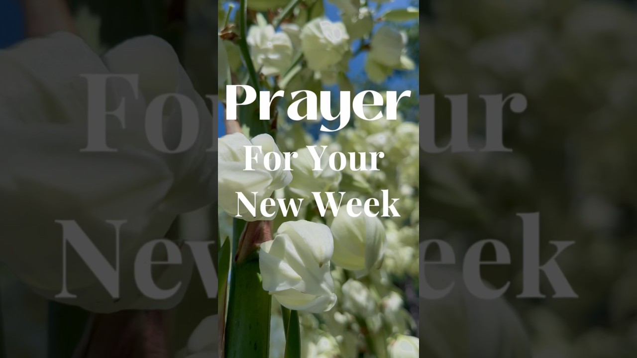 Prayer for your new week