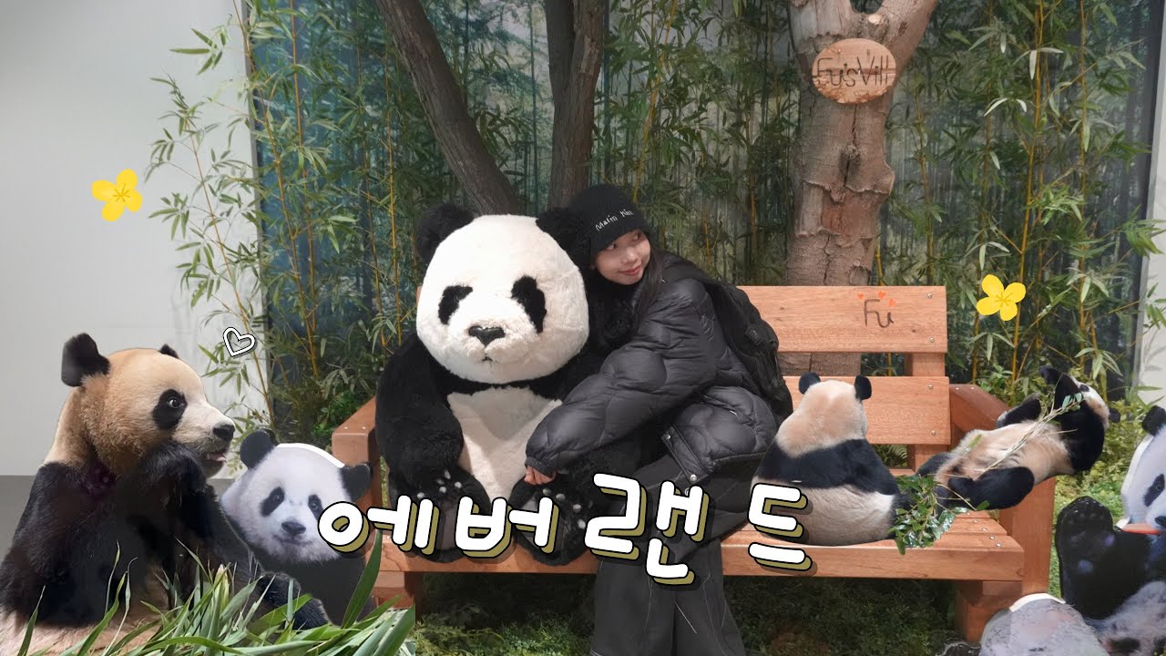 🎡에버랜드 눈치게임 성공하고 루이후이 맘껏 보는 브이로그🐼ㅣ일상 vlog