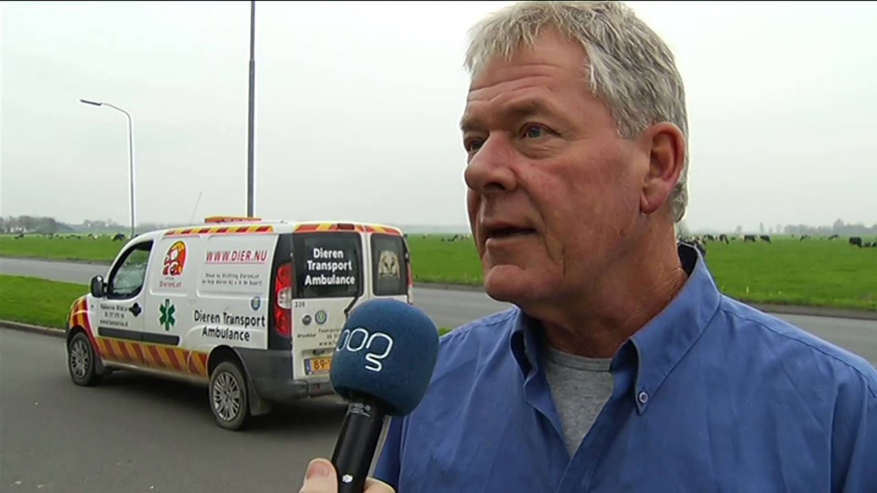 Dierenopvang Stad niet in gevaar