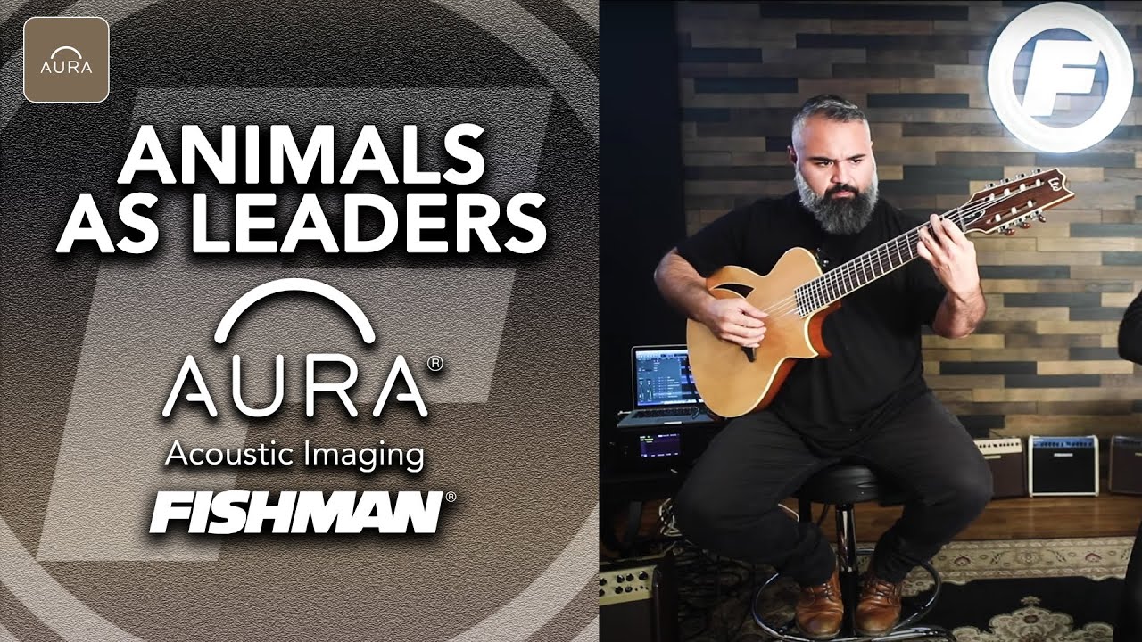 Animals As Leaders - Para Mexer, Aura Spectrum DI Performance (Tosin Abasi & Javier Reyes) Part 2
