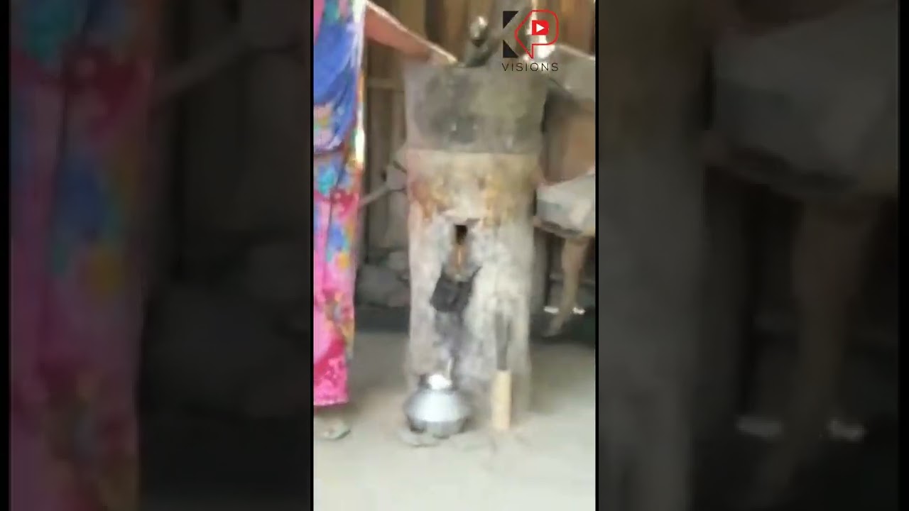 সরিষা দিয়ে তৈরী  হচ্ছে ঘানি ভাঙ্গা সরিষার তেল