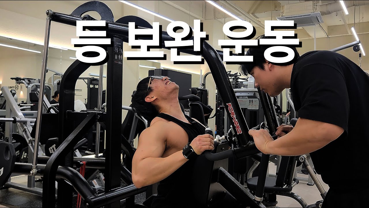 볼륨감 있는 등 만들기 ㅣ 등 보완 운동