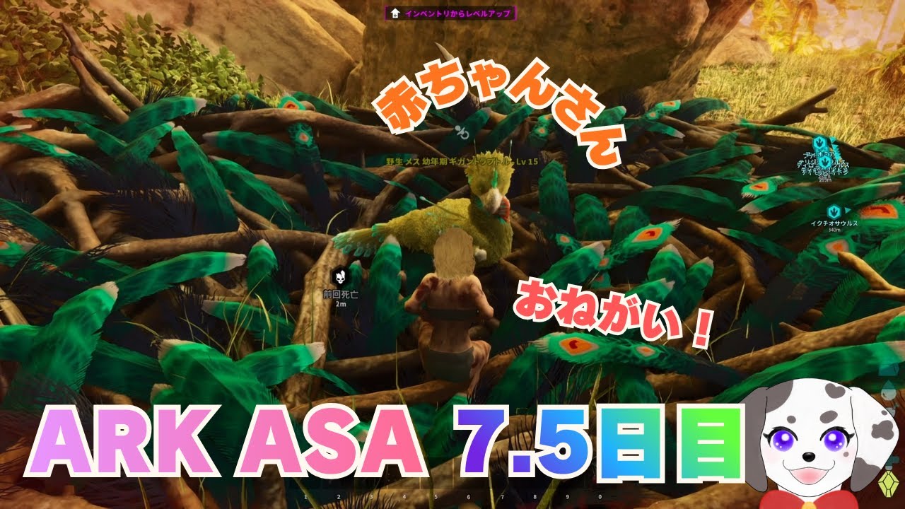 懲りずにギガントラプトルと向き合ってる【The Island】【ARK ASA】