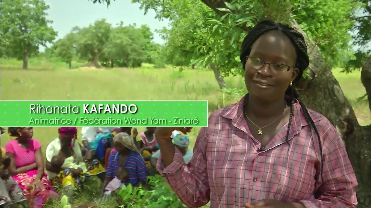 Renforcer la résilience des producteurs au changement climatique (BRACED, Burkina Faso).