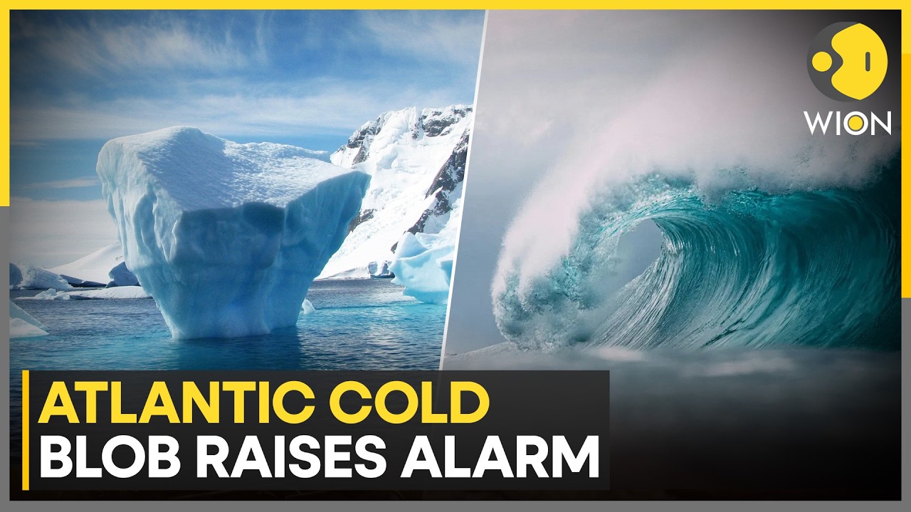 Atlantic &lsquo;Cold Blob&rsquo; Raises Fresh Climate Concerns | WION World News