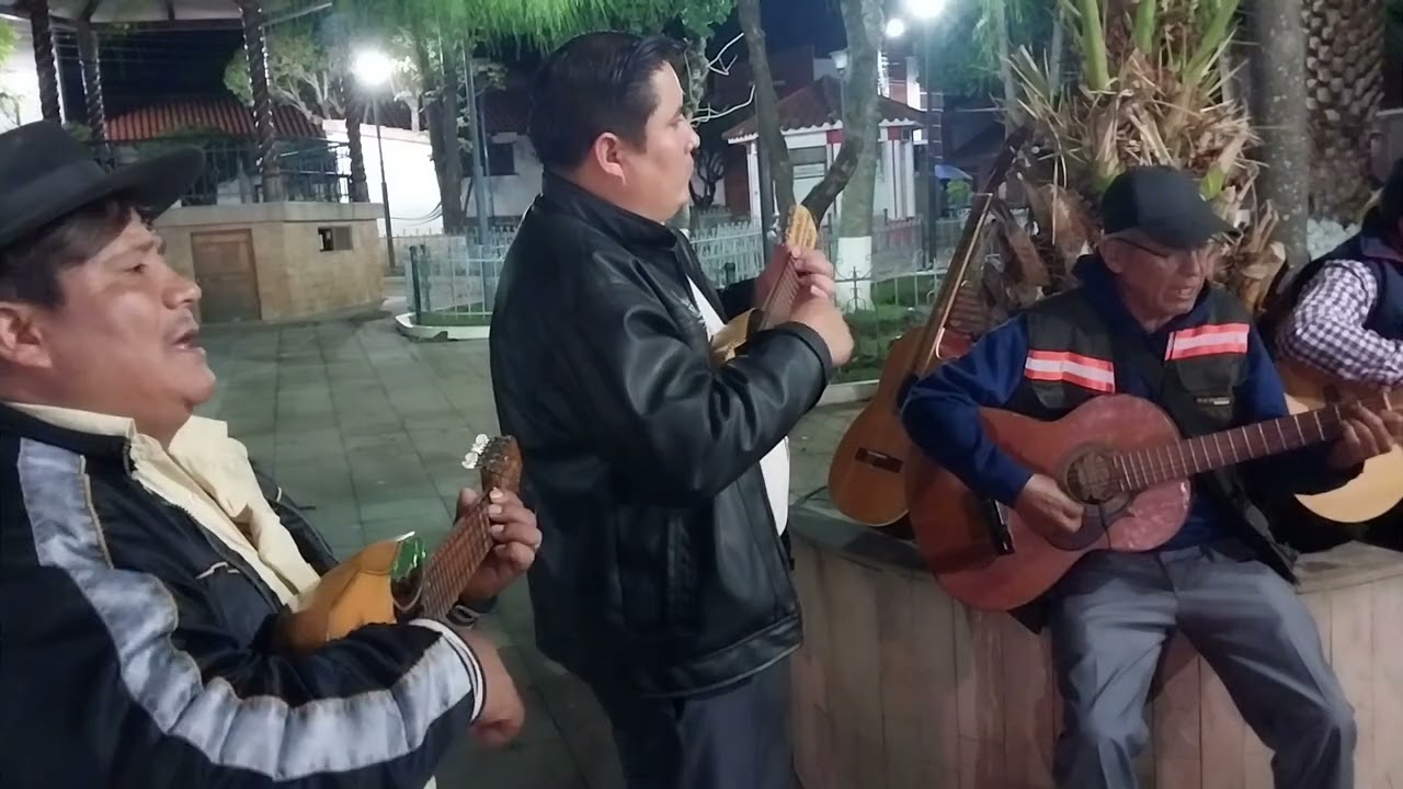 Para que (cueca), Al pie de un sauce verde (cueca)