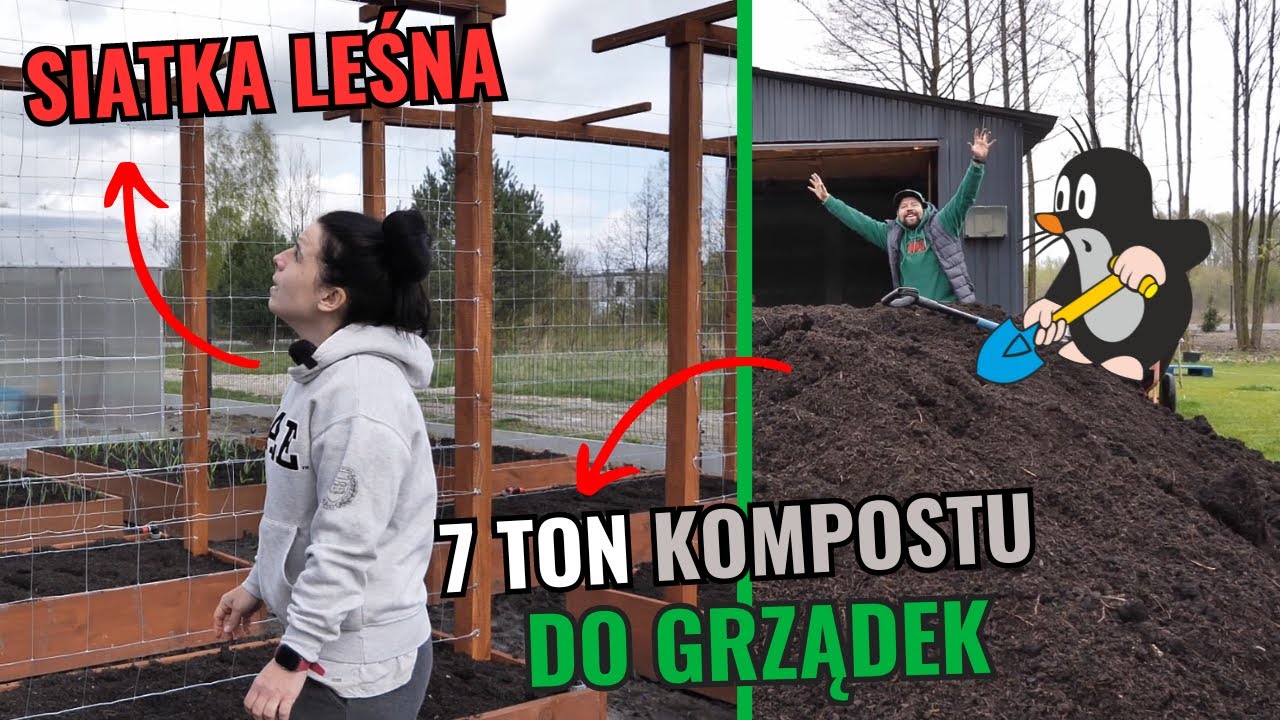 Wypełniamy grządki podwyższone kompostem. Robimy nawodnienie warzywnika.