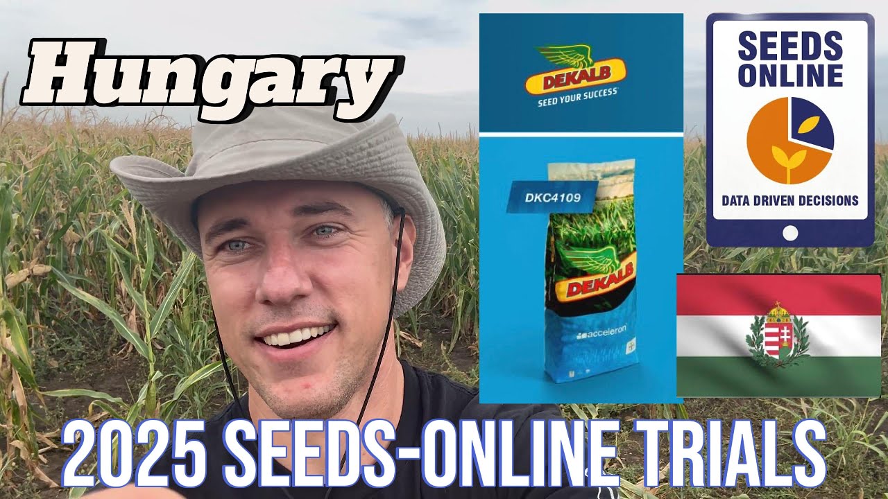 Dekalb Best in Hungary? Seeds online review DKC 4031 4109 4125 4391 4231 4433 4712 4717 4590WX 4897