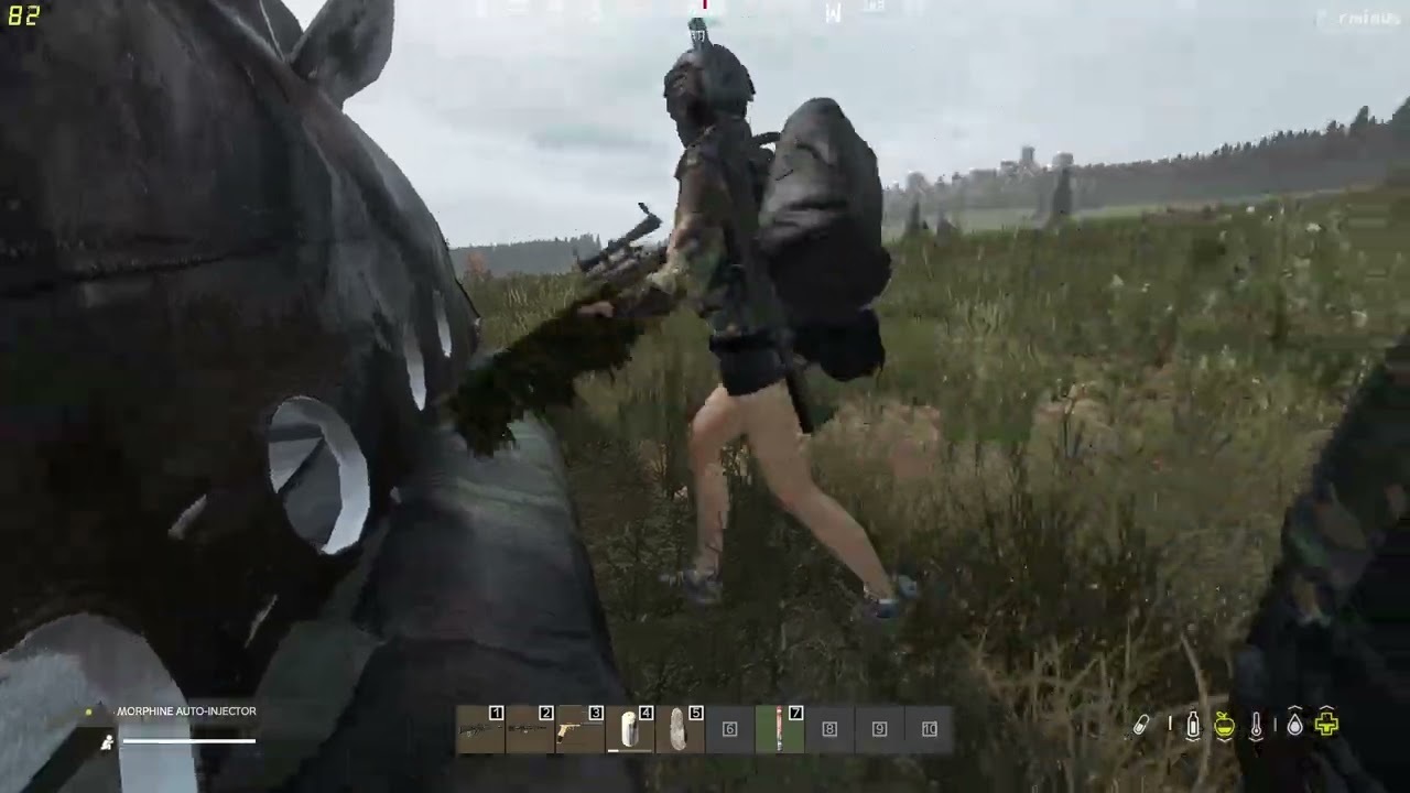 DayZ Terminus more fun