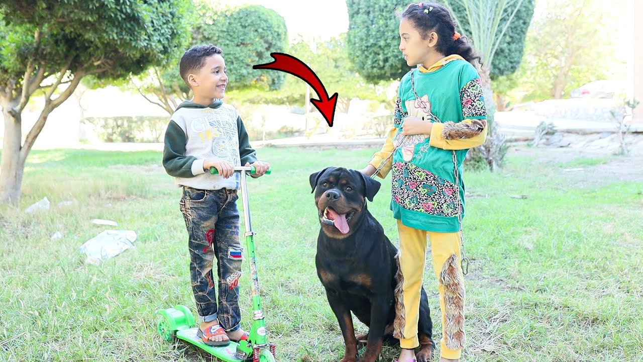 بنت صغيرة معاها كلب نفسها تلعب بالاسكوتر - شوف حصل أيه 😥 !!