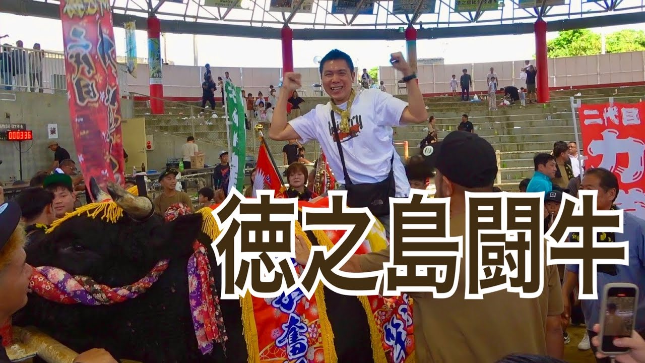 徳之島闘牛【ひとり旅・一笑一福】