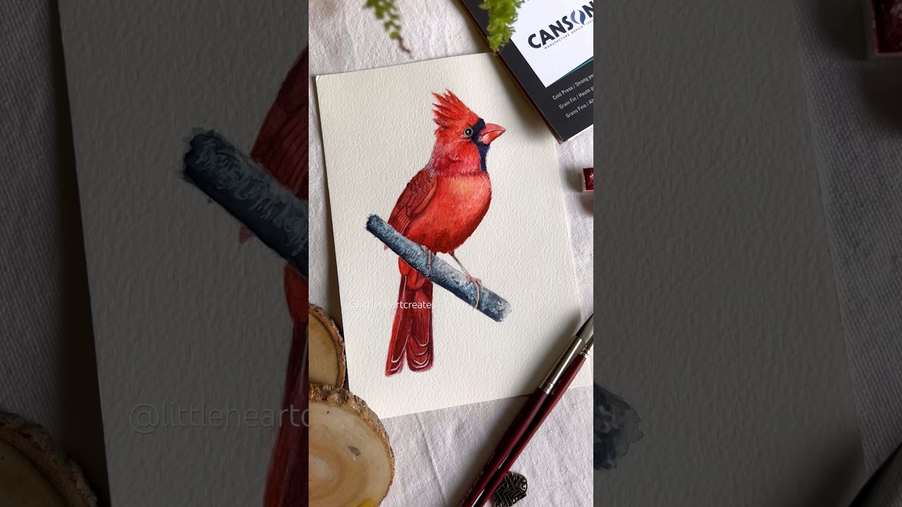 I painted a Red Cardinal/Angry bird!😂🐣 #art #watercolor #shorts