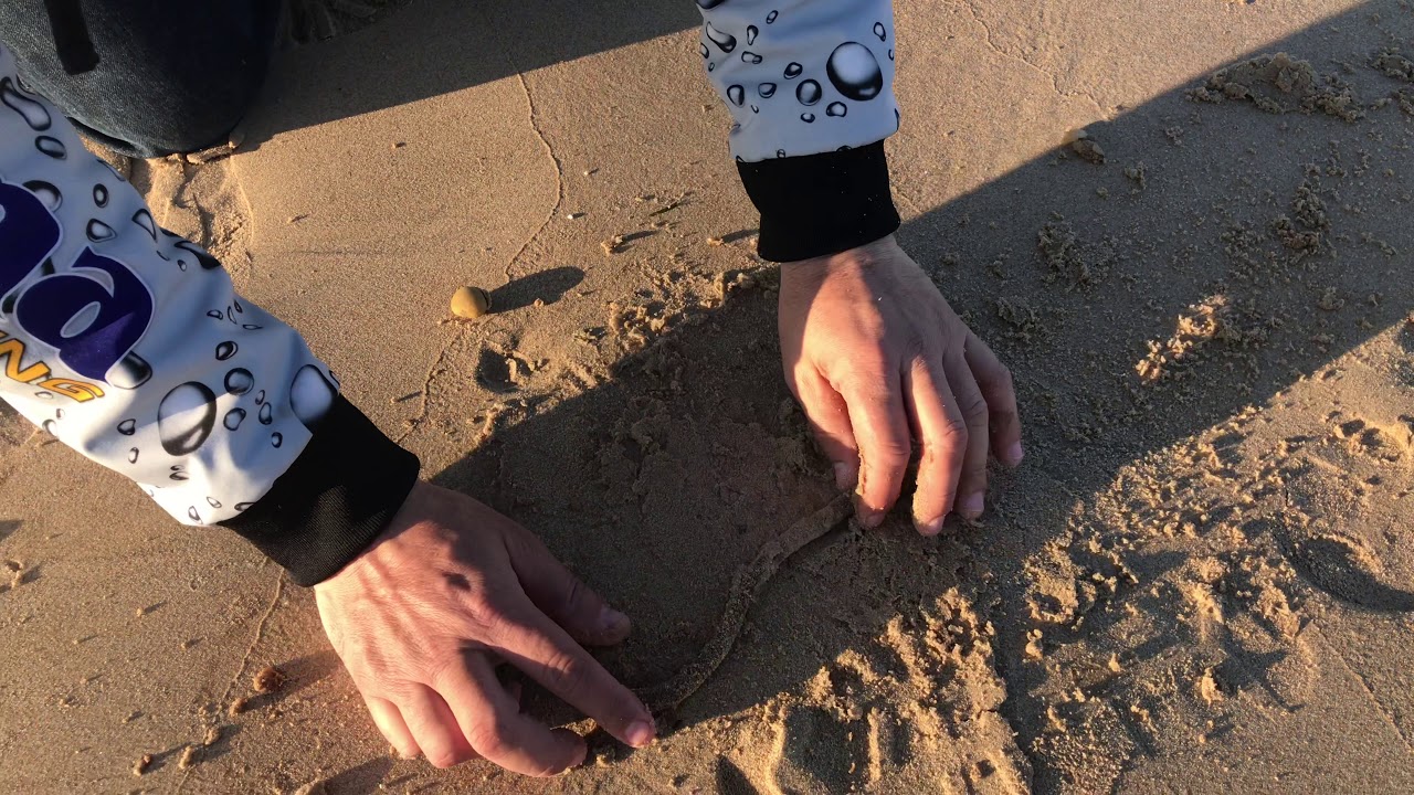 Cómo preparar una tita de palangre por Raul Mario