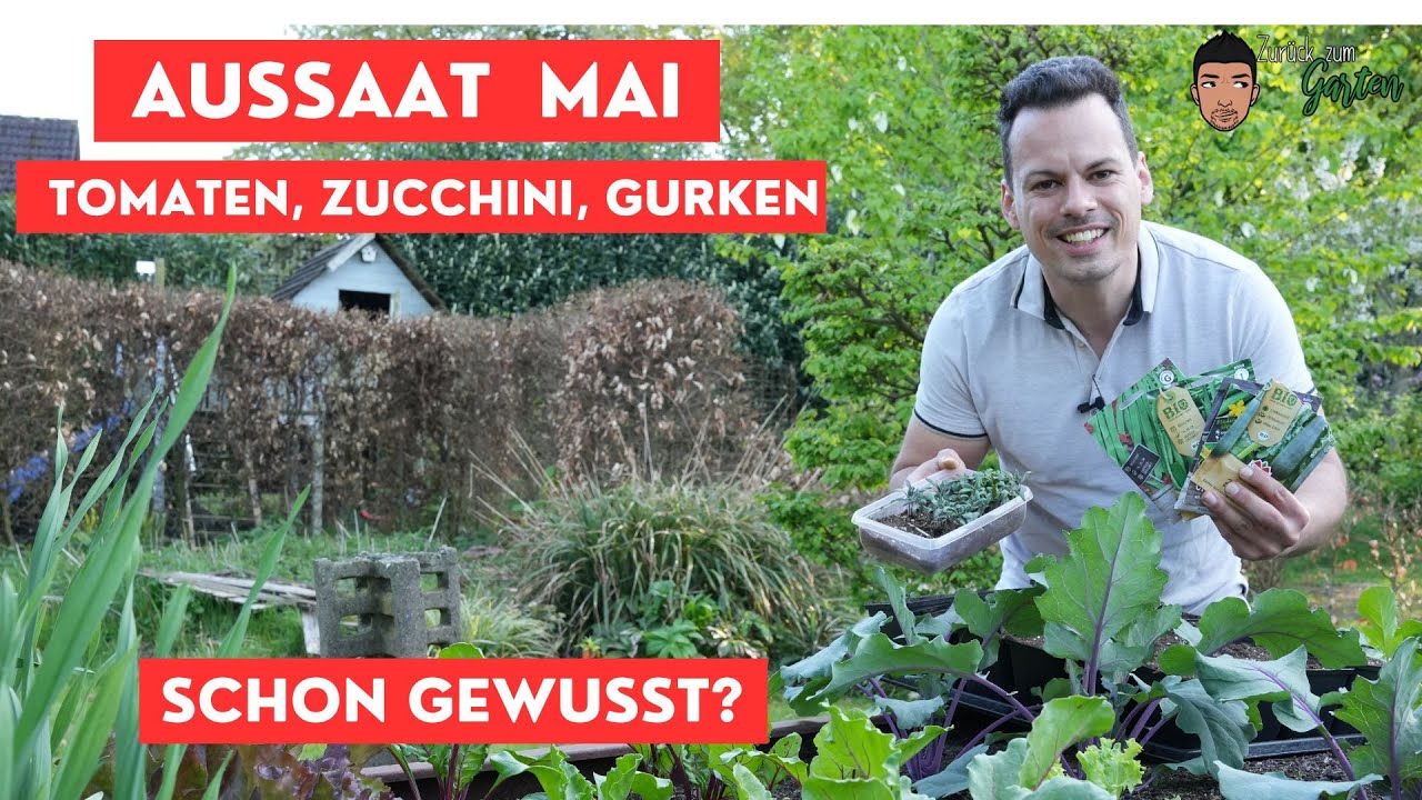 Gemüse Aussaat Mai - Pflanzen Abhärten, Topfen und säen