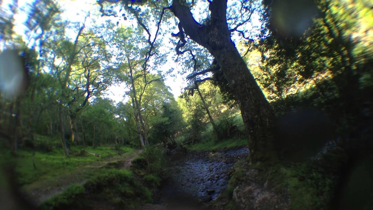 Hodders Combe - The River