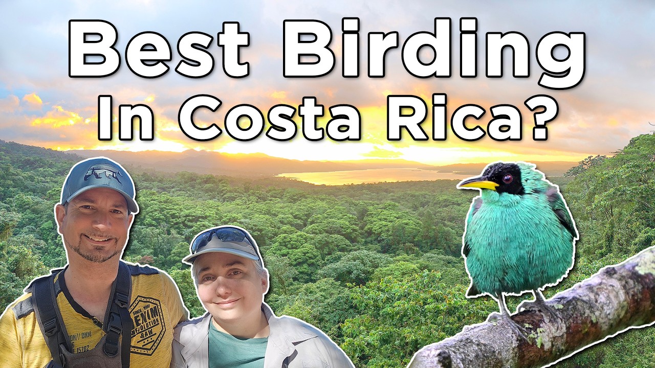 One of Costa Rica's BEST BIRDING Locations: Arenal Observatory Lodge