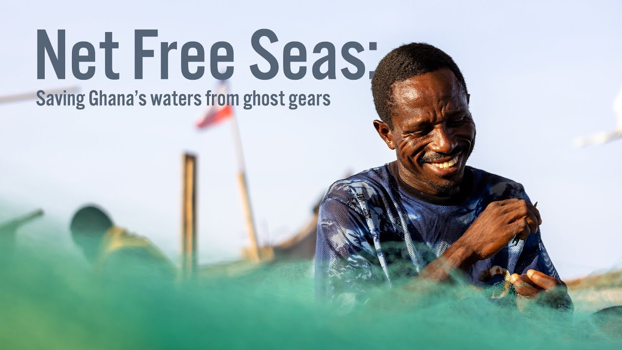Net Free Seas: Saving Ghana's waters from plastic nets and ghost gears