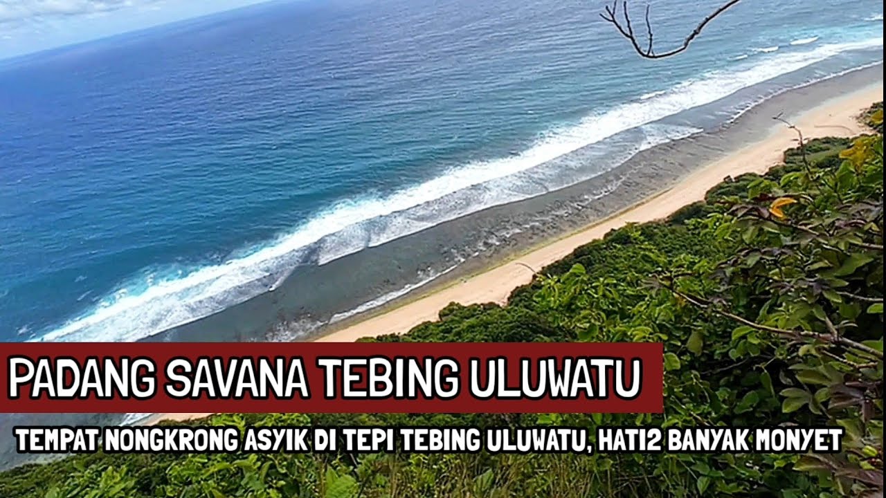 PADANG SAVANA TEBING ULUWATU BALI 16/2/2026