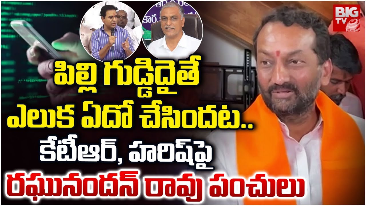 Raghunandan Rao Comments on KTR Phone Tapping SIT Investigation | పిల్లి గుడ్డిదైతే ఎలుక ఏదో |BIG TV