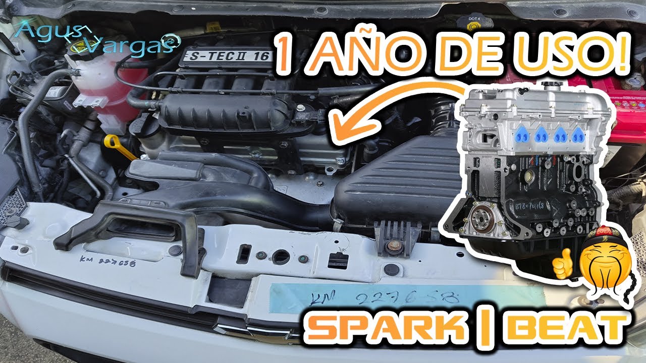 1 AÑO DE USO del MOTOR CH1N0 que instalamos en el Beat/Spark | Agus Vargas