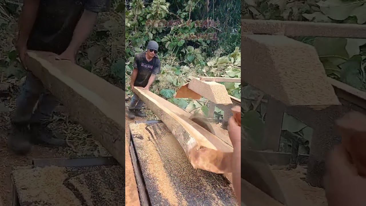 Kayu Jati Super‼️Di Rajang Gergaji Serkel Rakitan