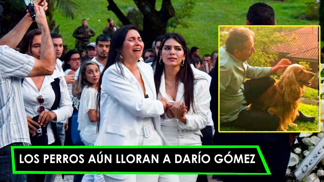 LOS PERROS DE DARIO GÓMEZ AUN LLORAN SU MUERTE Q.E.P.D
