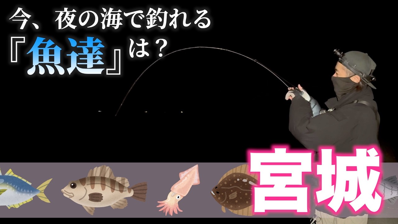 【２月 / 冬】今、宮城の海で釣れる魚を徹底調査！