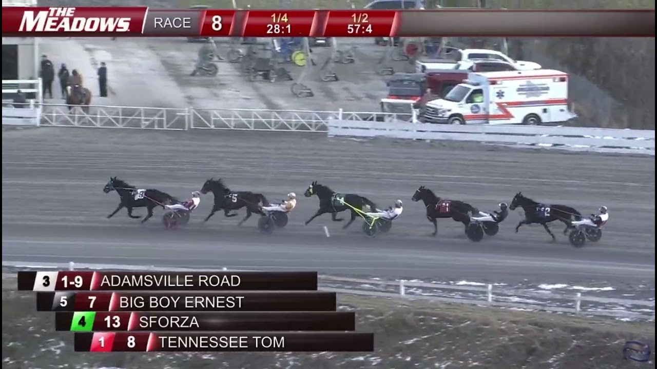 Sforza wins Open Trot at the Meadows | 1/22/26