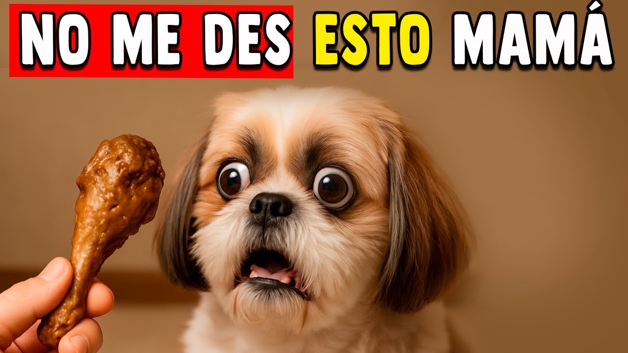 25 Alimentos cotidianos que MATAN silenciosamente A TU PERRO (debes saberlo)