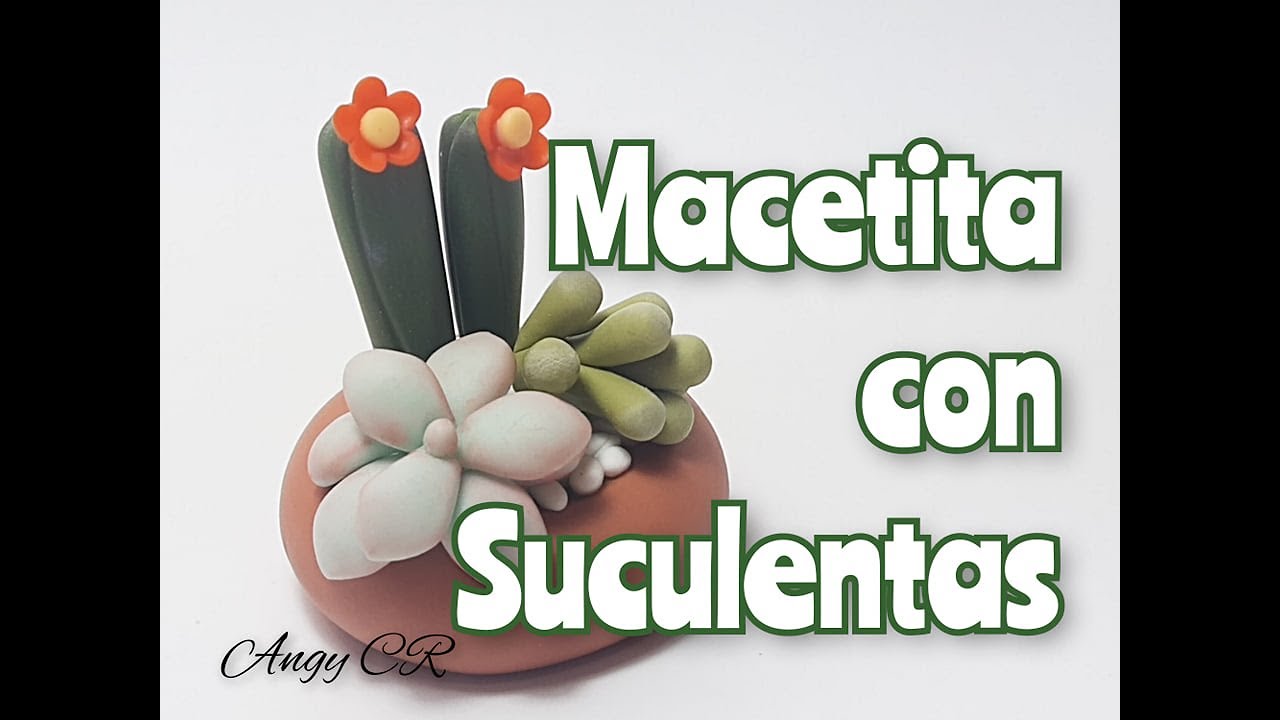 Maceta mini con suculetas en porcelana fría