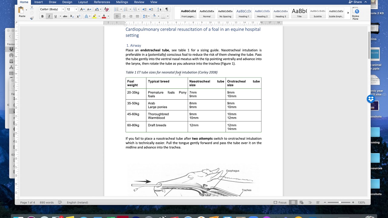 Table caption and text alignment