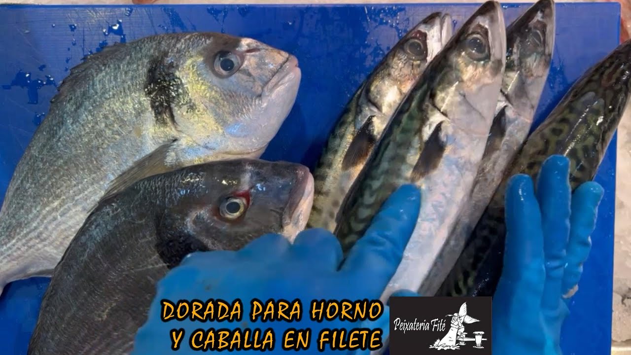 COMO LIMPIAR LA DORADA PARA HORNO Y FILETEAR LA CABALLA