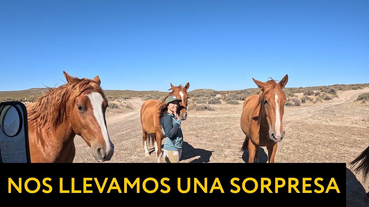 T1E6 Al fin llegamos a PLAYAS INCREIBLES en el SUR ARGENTINO🚙🏖️