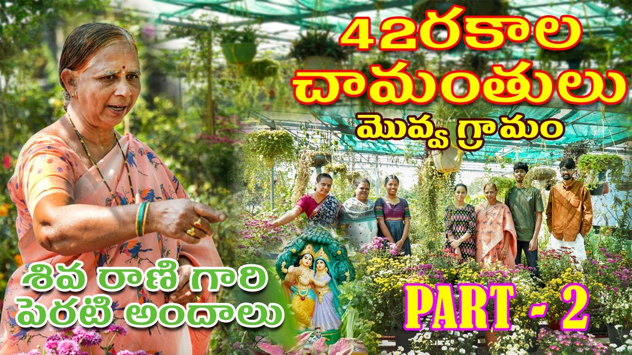 మేక ప్రసాద్ శివరాణి గారి పెరటి అందాలు 😍 || PART 02 || MOVVA GRAMAM || Home Garden Telugu