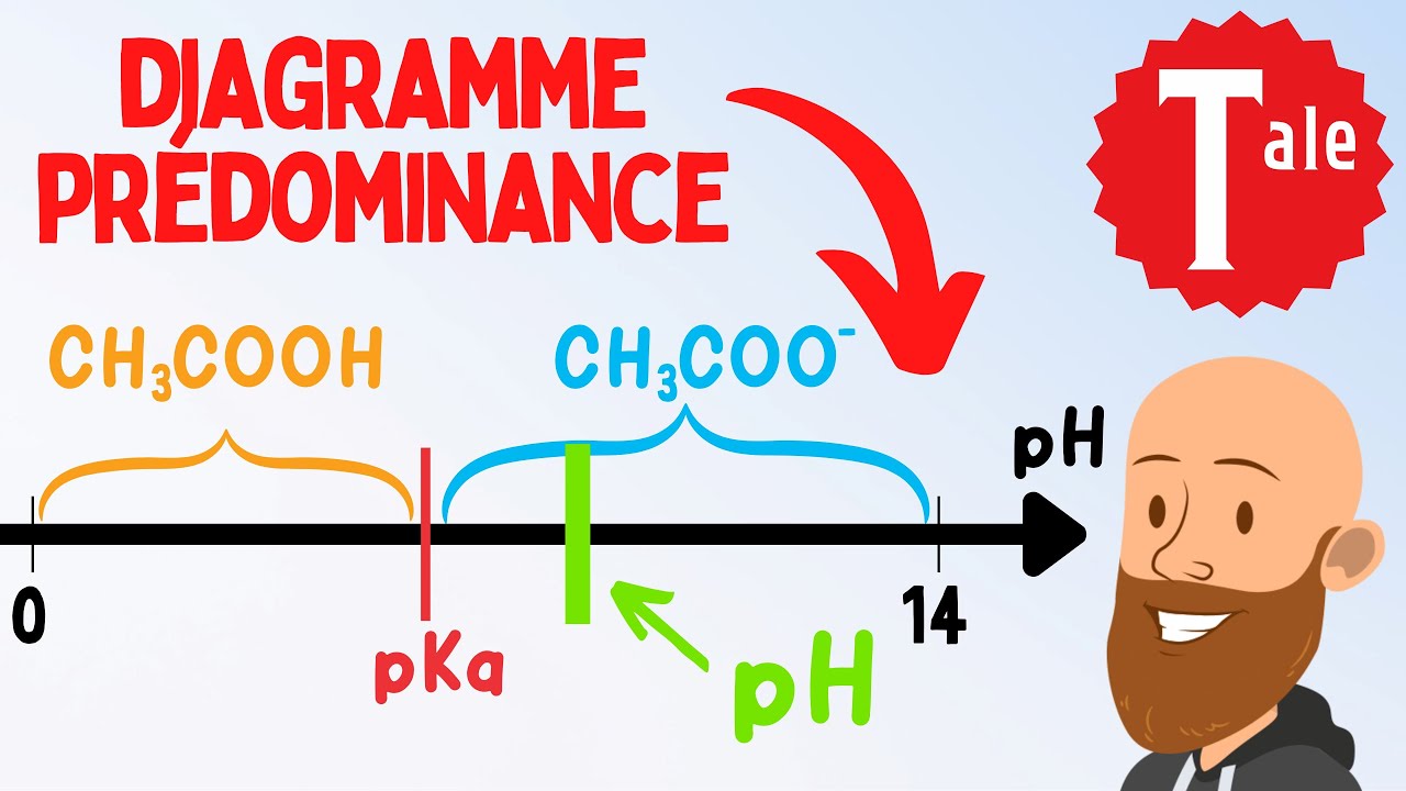Diagramme de prédominance acide base - physique chimie spé terminale
