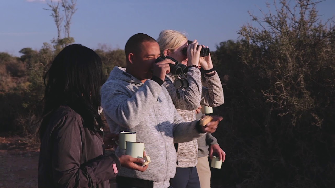 MEERKAT ENCOUNTER | De Opstal Activities, Oudtshoorn, Klein Karoo, Garden Route, South Africa