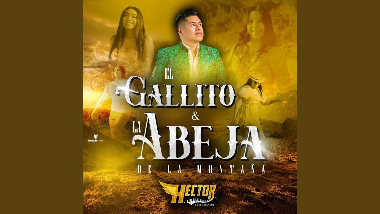El Gallito Y La Abeja De La Montaña