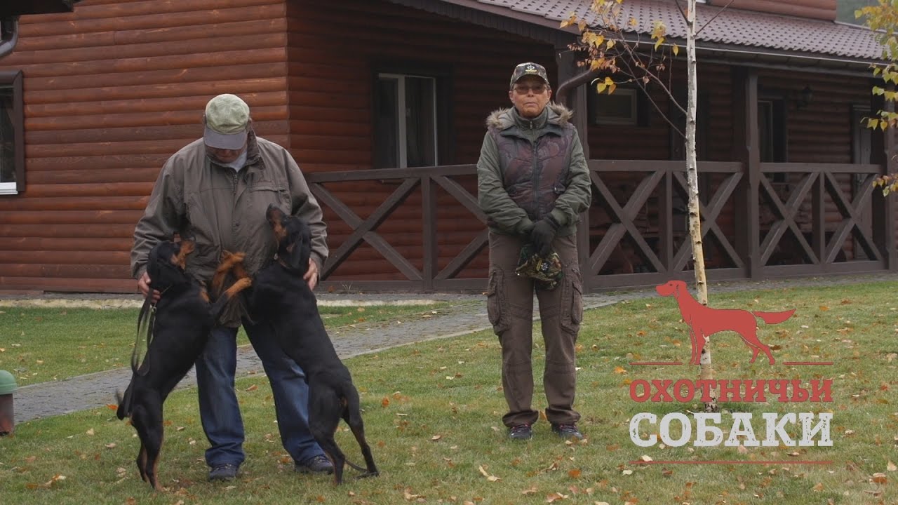 Охотничьи собаки. 5 серия. Словацкий копов