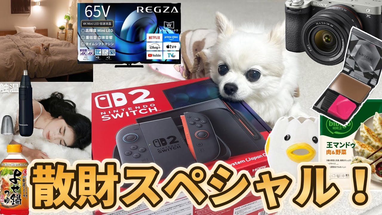高額商品から身近な物まで！2025年の総まとめ！大散財スペシャル！