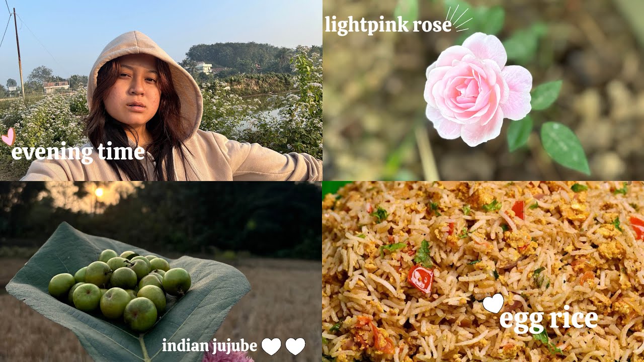 Egg Rise Sng Chamani😍// Ani Lightpink Rose 🌷👀// @Alishavlogs11 