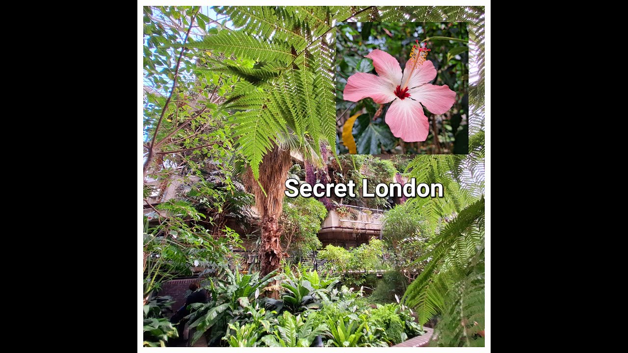 Wanderings through the Barbican Conservatory, a well kept, beautiful secret of London