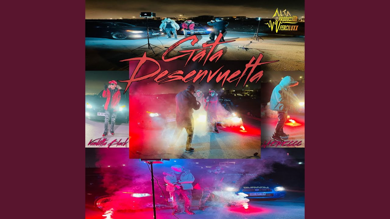 Gata Desenvuelta