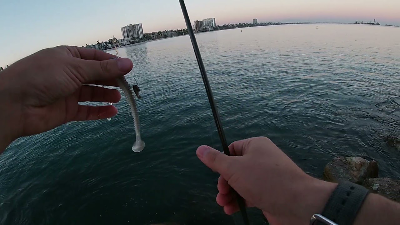 Could this be the MECCA of all HALIBUT!? Long Beach California Fishing