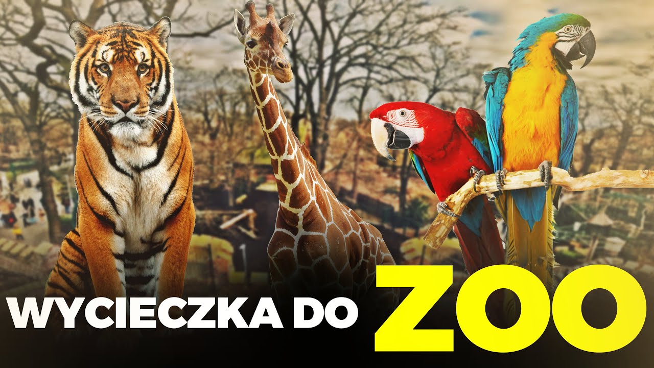 🐯 ODWIEDZILIŚMY WROCŁAWSKIE ZOO 🐯 dzikość afryki i głębia oceanu 🦈 MOJE MINI ZOO / odc. 351
