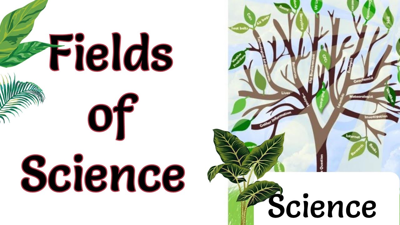 fields of Science |Fields of Science |science Fields |#Fieldsofscience #science #biology
